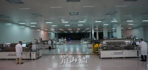 眉山建成國內(nèi)最大OLED材料生產(chǎn)基地，新材料技術(shù)研發(fā)引領(lǐng)產(chǎn)業(yè)升級