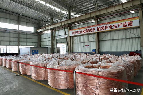 向綠而行，智造未來 湘潭金龍新材料的技術創新之路